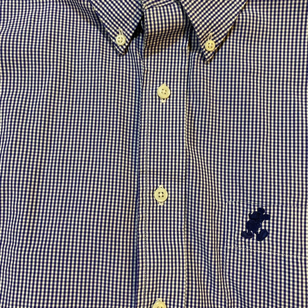 Vtg Walt Disney World Blue Gingham Button Down Shirt Men’s LMickey Embroidered